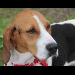 Meet your Posher, Carla